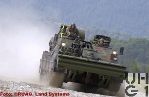 Genie und Minenräumpanzer Kodiak Leopard
